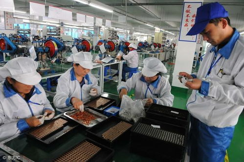 打卡50天就拿8000塊返費(fèi),這樣的勞務(wù)中介你敢信任嗎