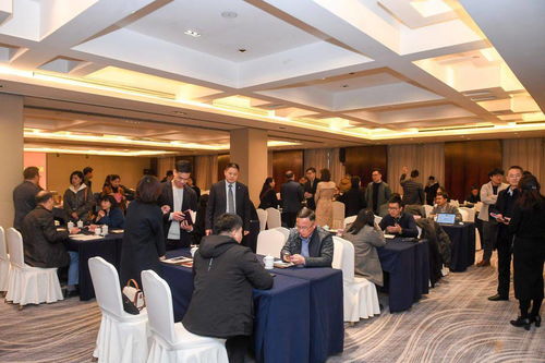 全市科技人才工作會(huì)及外國(guó)人才中介機(jī)構(gòu)對(duì)接活動(dòng)在桐舉行